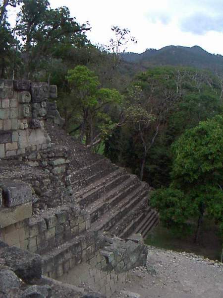 s7copan2.jpg